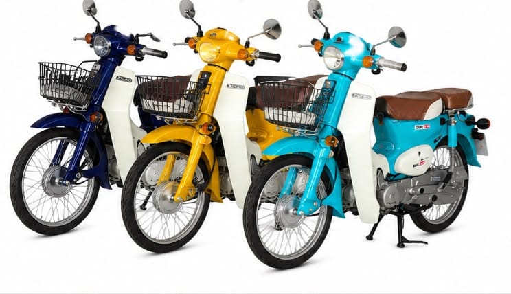 MOTOR SUPER CUB GATO